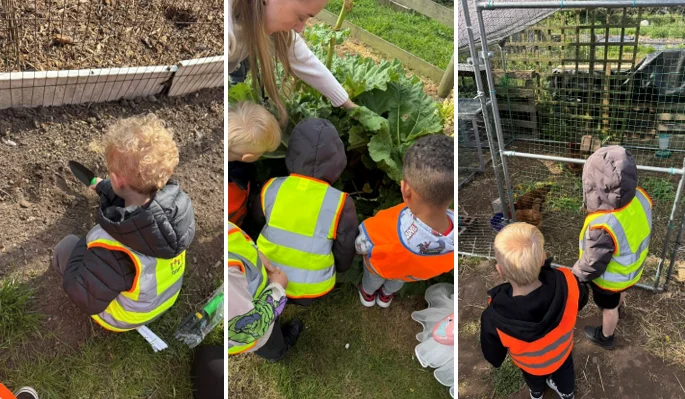 Nursery Allotment